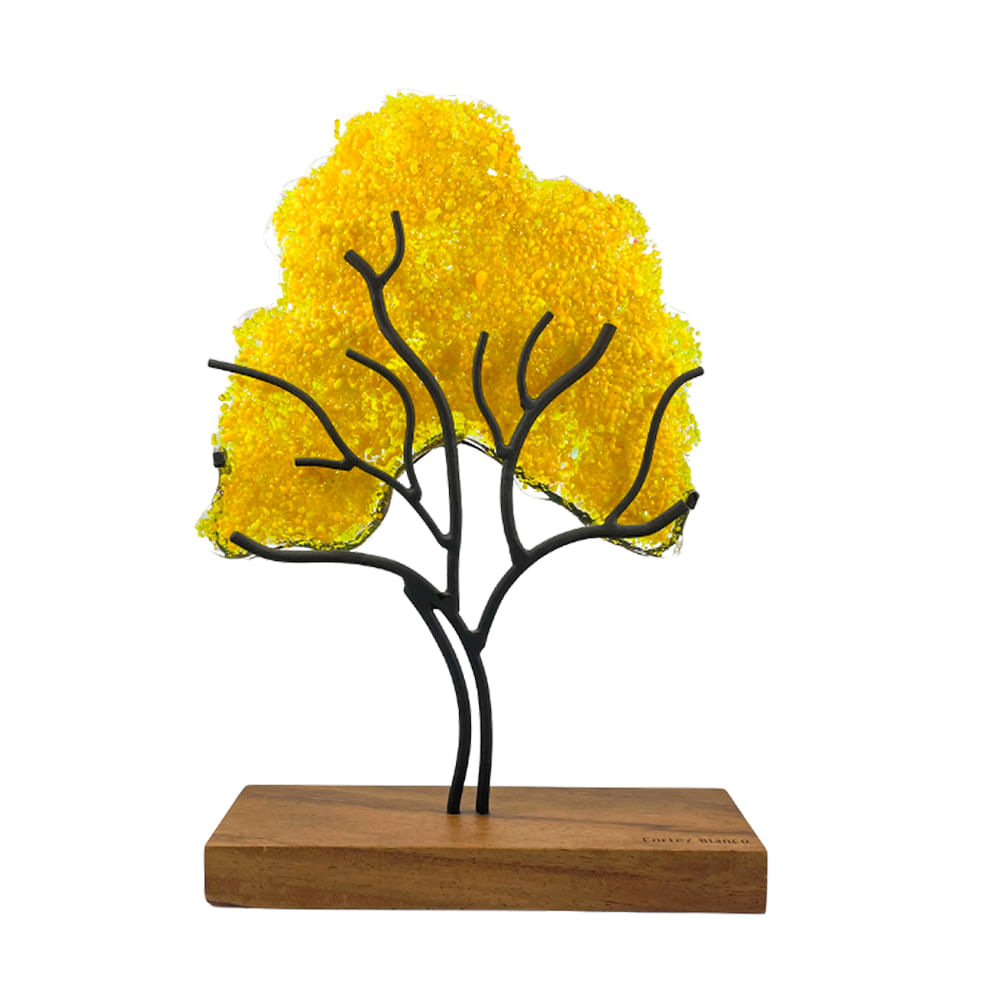 Árbol Cortez Blanco Grande