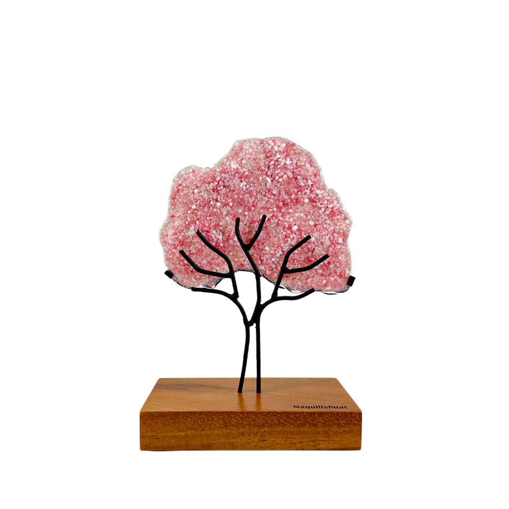 Árbol Maquilishuat Mediano