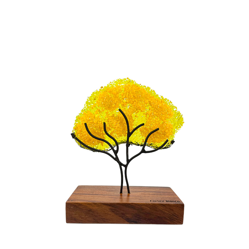 Árbol Cortez Blanco Mediano