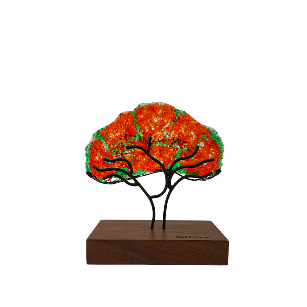 Árbol de Fuego Mediano