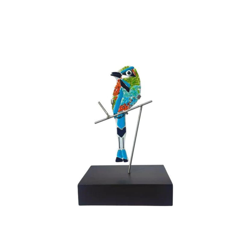 Torogoz Pequeño El Imposible