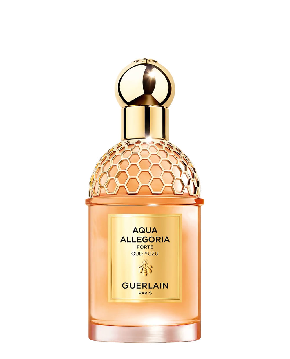 Aqua Allegoria Forte Oud Yuzu Eau de Parfum Eau de Parfum 75ml