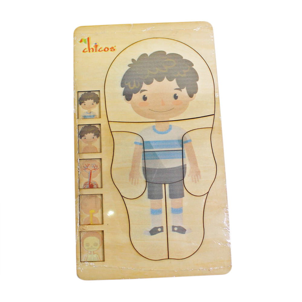 Multiniveles cuerpo humano