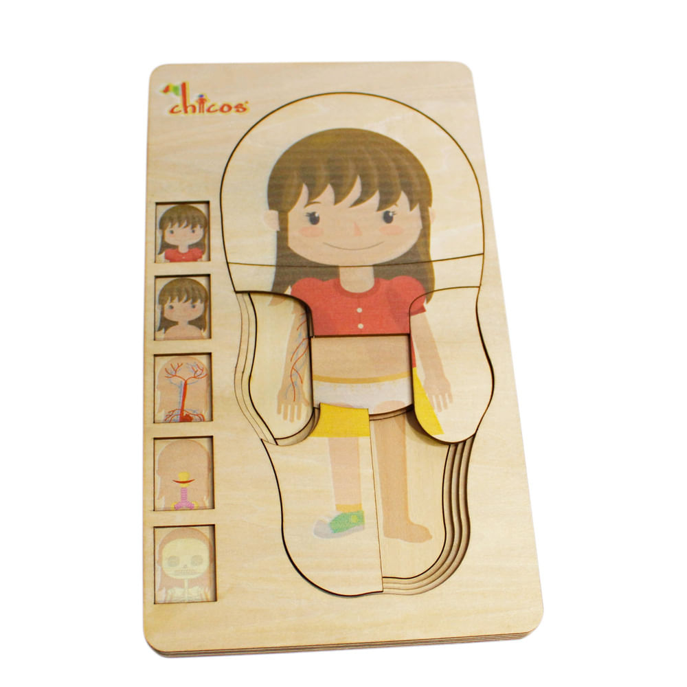 Multiniveles cuerpo humano