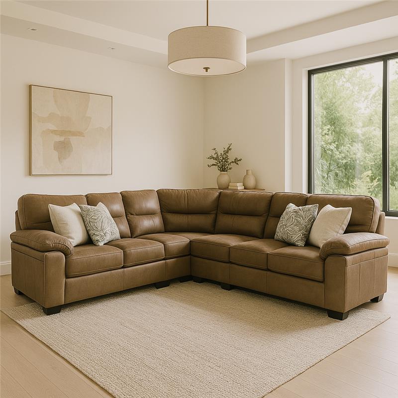 Sala seccional Paradise