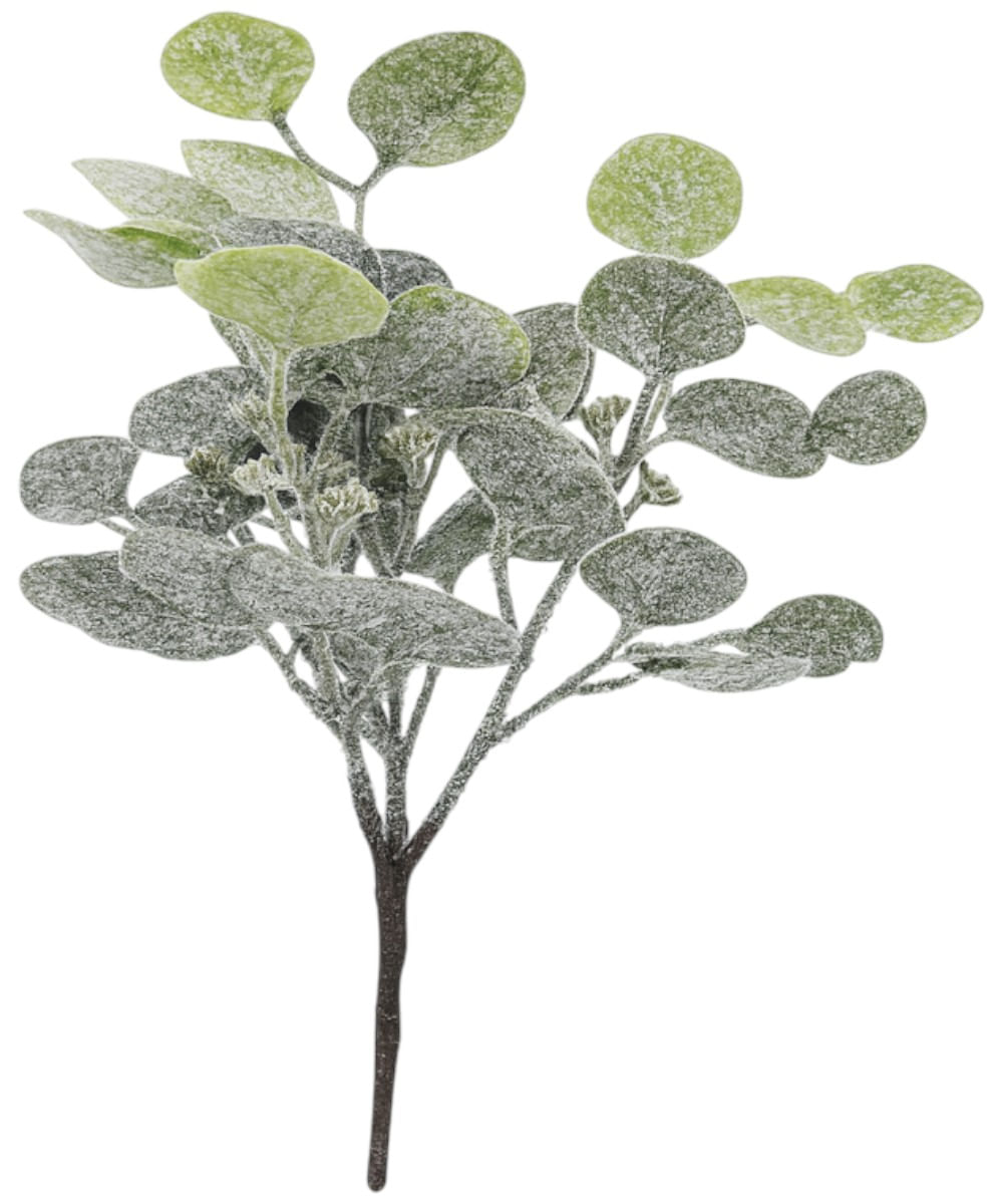 Rama de eucalipto nevado 38 cm