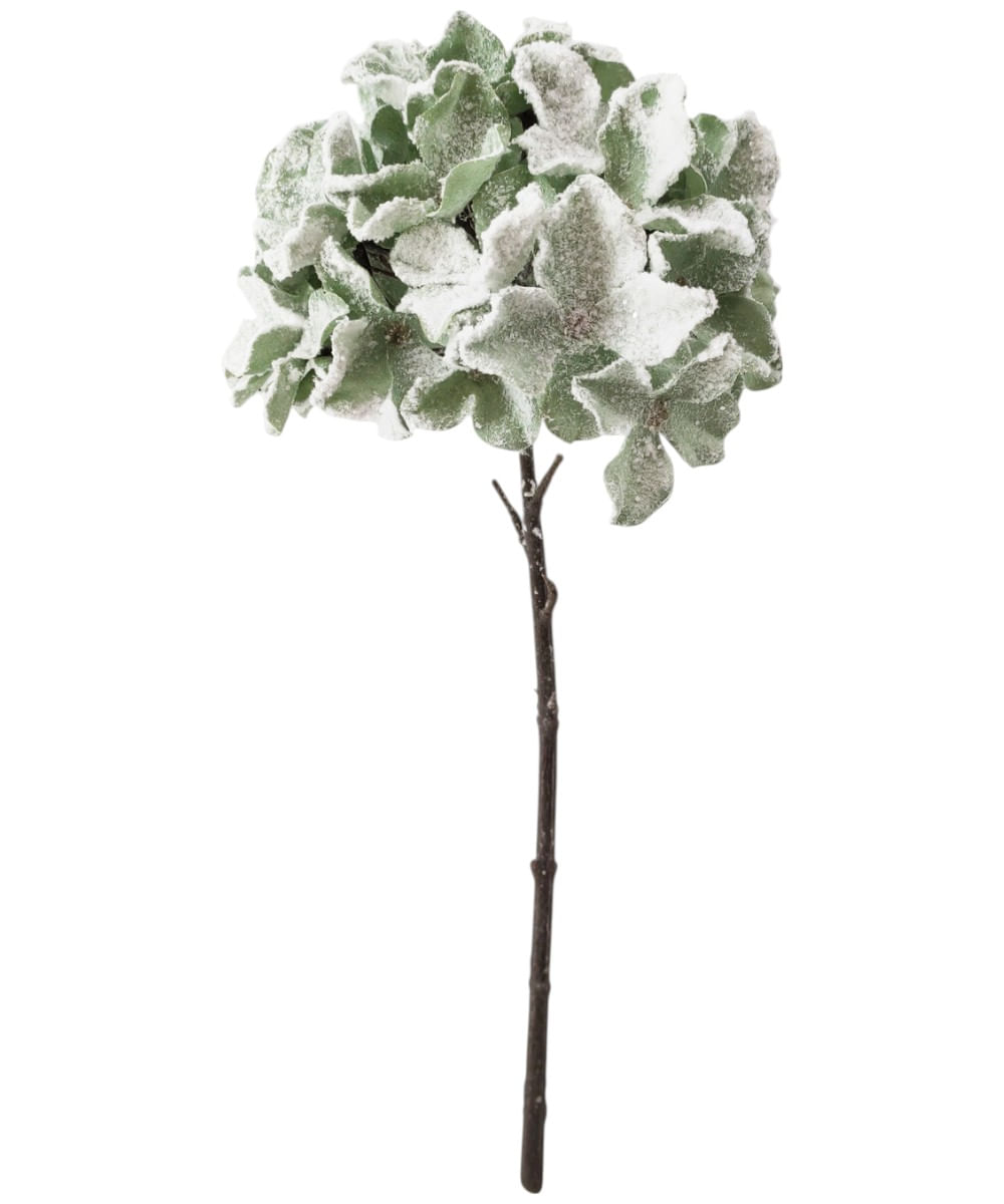 Hortensia verde nevada 13 cm x h32 cm
