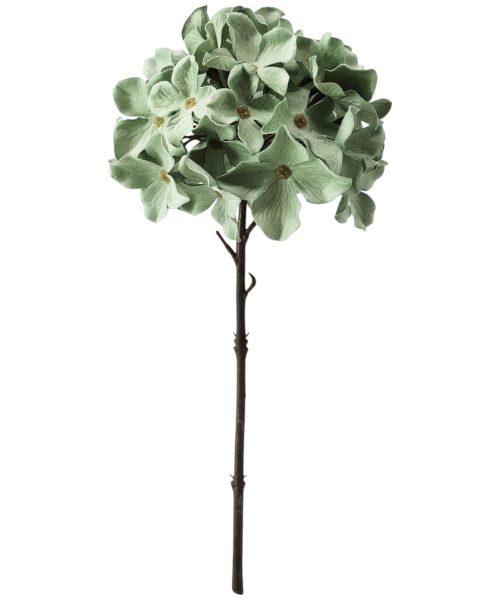 Hortensia terciopelo verde 13 cm x h32 cm