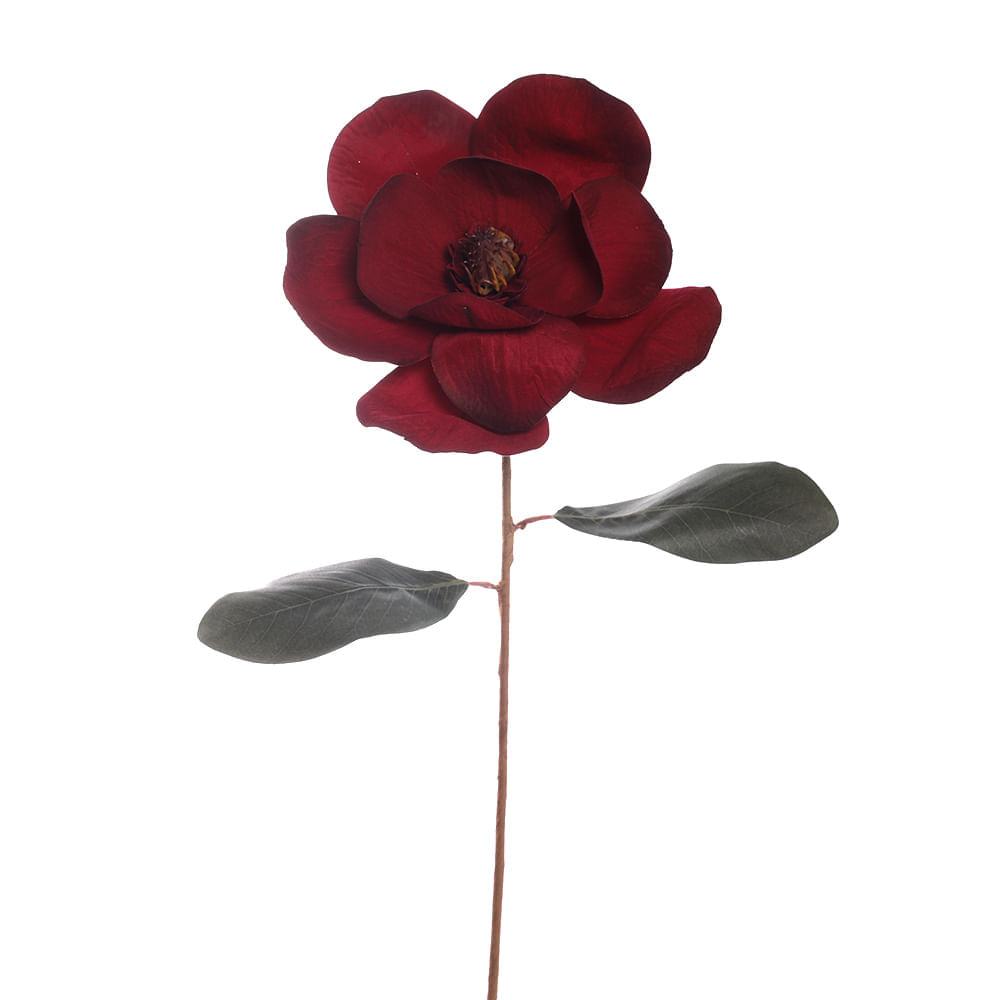 Magnolia de terciopelo burgundy 20 x 50 cm