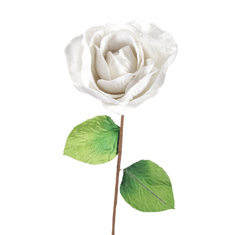 Rosa de terciopelo cream