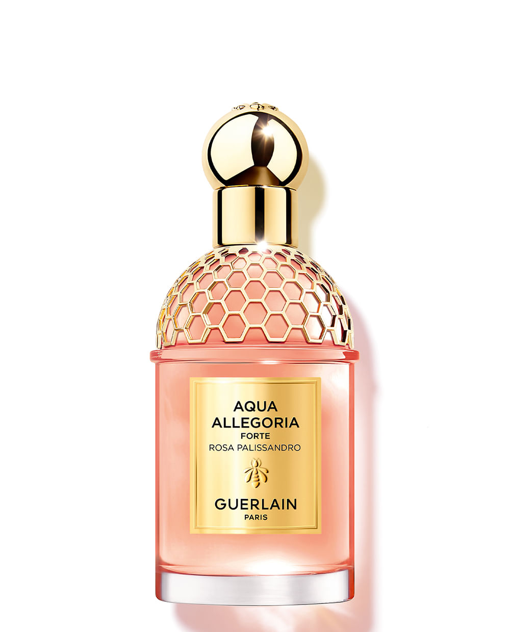 Aqua Allegoria Forte Rosa Palissandro Eau de Parfum